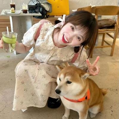 父仇者
